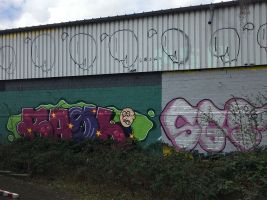 IMG_1829 - Copy.JPG